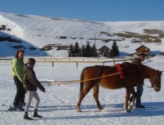 Descubrimiento y mejora del skijoring 